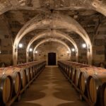 Descubre la experiencia de cata de vinos seleccionados en una bodega histórica